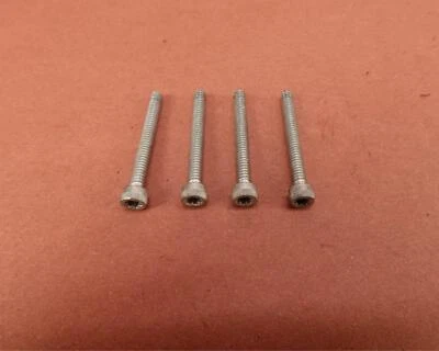 Набор крепежных винтов 2018-2022 Harley Davidson Heritage Classic FLHCS - Изображение 1 из 4