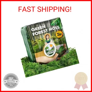 Duspro Green Moss for Crafts Decorative Filler planters Decor Artificial Table C - Picture 1 of 2