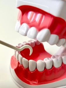 50 PLASTIC DENTAL TOOTHPICKS FOR HARD TO REACH AREAS ORAL CARE TEETH CLEANING - Picture 1 of 7