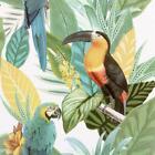 Arthouse Toucan Jungle Wallpaper Tropical Palm Birds Green Textured Vinyl