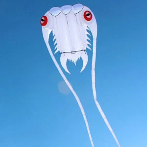 7㎡ Trilobite Kite Lifter Line Laundry Pendant Soft Inflatable Show Kite with Bag - Picture 1 of 5