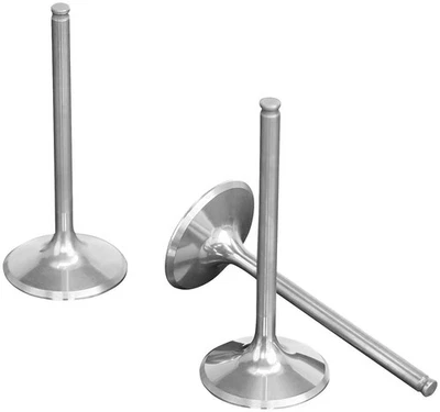 Pro-X Exhaust Valve - Titanium Motorcycle ATV/UTV Street Bike Dirt 28.1417-2 - Image 1 of 4