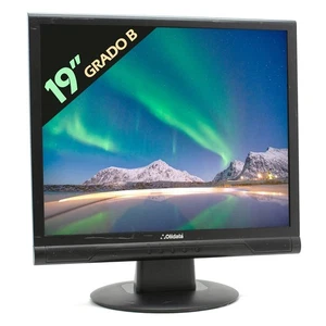 Monitor Screen LCD Display Olidata MR19F05N 19 " 4:3 5:4 VGA Vesa Refurbished - Picture 1 of 5