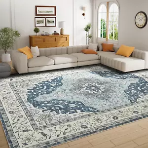 Washable Area Rug - Area Rug 8'X10' Boho Soft Living Room Rug, Non-Slip Large Ar - Picture 1 of 11