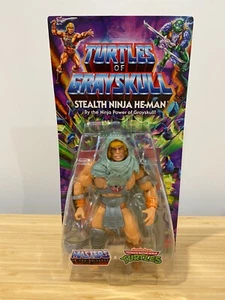 Mattel MOTU X TMNT Turtles of Grayskull Stealth Ninja He-man Action Figure - Picture 1 of 3