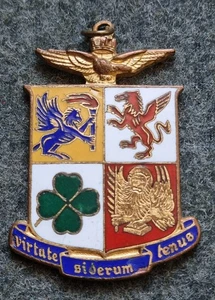 DISTINTIVO SMALTI STEMMA ARALDICO AERONAUTICA MILITARE ITALIANA PILOTA  LORIOLI - Picture 1 of 12