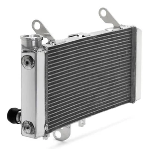 Cooling Radiator 17710-18K00 for Suzuki SV650 SV 650 2017-2023 18 19 20 - Picture 1 of 12