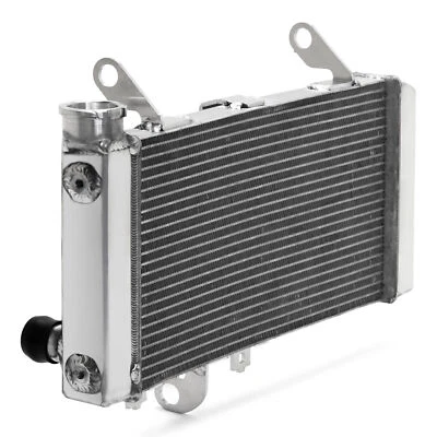 Cooling Radiator 17710-18K00 for Suzuki SV650 SV 650 2017-2023 18 19 20 - Изображение 1 из 4