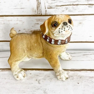 Pug Apricot Brown Dog Canine Collectable Figurine Statue Studded Bling Collar - Picture 1 of 7
