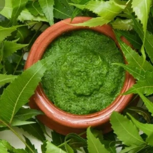 100g Dried Neem Leaf Powder 100% Pure Natural High Quality (Azadirachta Indica) - Picture 1 of 9