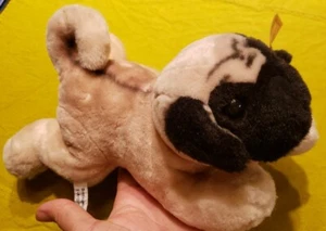 Steiff 2004 Pug AKC American Kennel Club Plush Puppy Dog Stuffed Animal 668906 - Picture 1 of 10