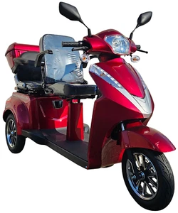 1000W 60V Elektromobil ZWEISITZER ElektroScooter SeniorenMobil bis 25km/h - Bild 1 von 12