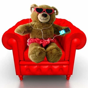 CHILLIN BEAR ALL OCCASIONS GREETING CARD WITH C.D - BLANK INSIDE - Foto 1 di 1