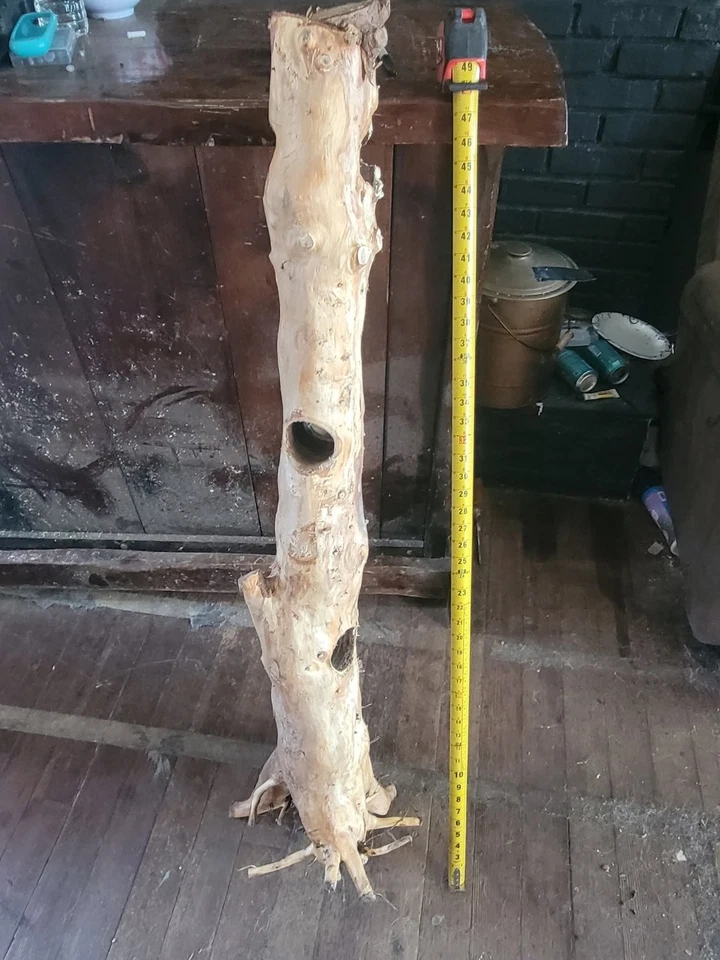 Fish And Reptile Hide - Image 1 of 1