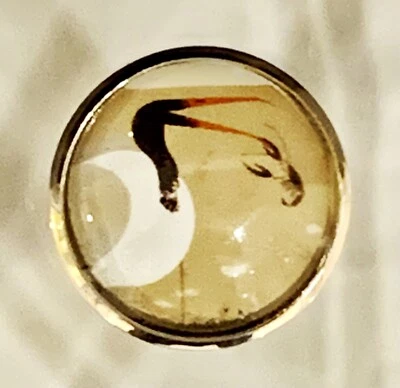 Charley Harper Wood Ibis Shore Bird Waterbird 1" Glass Sewing Button CH728 - Image 1 of 2