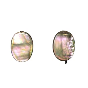 Miriam Haskell Signed Vintage Oval Abalone Shell Disc Screw Back Earrings 3/4" - Picture 1 of 7