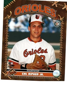 Cal Ripken Jr. - Studio Photo Baltimore Orioles 8x10 Photo  - Picture 1 of 3