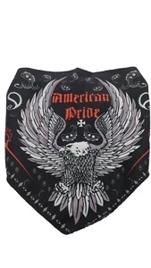 American Pride Triangle Fac Mask - Picture 1 of 2