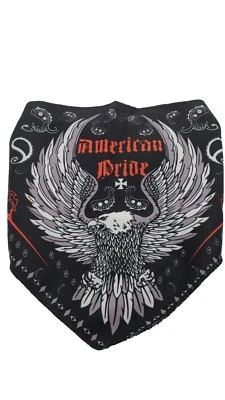 American Pride Triangle Fac Mask - Image 1 of 2