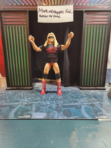 WWE MATTEL ULTIMATE EDITION CUSTOM MICHAEL P.S. HAYES  FREE SHIPPING Cover