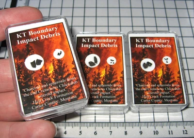 Cretaceous KT KP boundary Hell Creek Charcoal & 5 microtektites spheroid display - Image 1 of 4