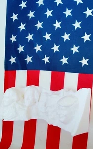 Lote 10x 6" Sonriente Presidente Donald Trump Monte Rushmore TrumpMás Impresión 3DBLANCO - Imagen 1 de 5