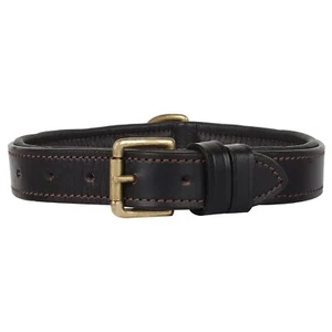 Leather Dog Collar for Pets - Collar with Brass Buckles and D Rings for Name ... - Picture 1 of 6