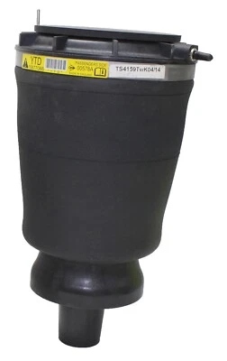 Muelle de suspensión neumática Westar para 06-11 Cadillac DTS AS-7343 Foto 1 de 4