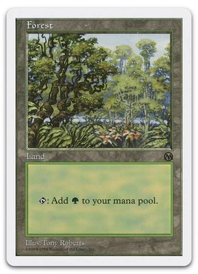 Forest (Arena) #84 (LP) Anthologies ATH Magic MTG - Image 1 of 2