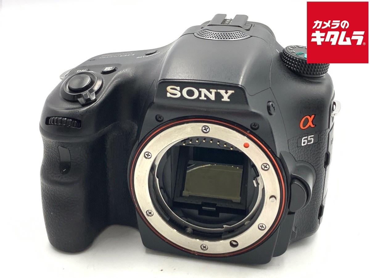 Sony A65 20-29.9MP Digital Cameras for Sale | Shop New