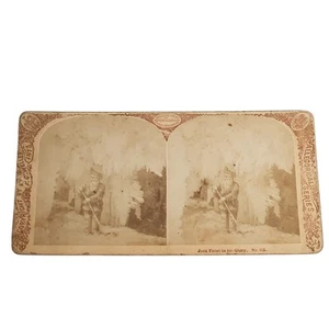 Jack Frost in His Glory paesaggio invernale sottobosco genere stereoview antico 1800 - Foto 1 di 6
