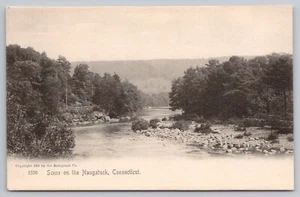 1905 - Naugatuck River Connecticut - Rotograph Postcard CT, Conn Unposted - Picture 1 of 4