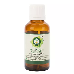 R V Essential Pure Psoralea Oil Psoralea Corylifolia Cold Pressed 100% Natural - Picture 1 of 30