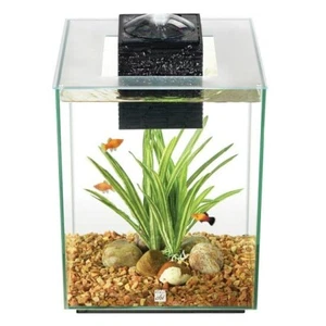 FLUVAL CHI AQUARIUM - 5 GALLON - Picture 1 of 2