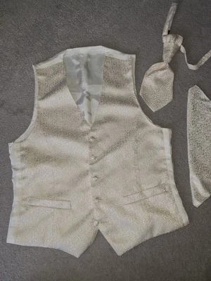 Digel Hochzeit o Anzugsweste Plastron Einstecktuch Creme - Bild 1 von 4