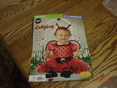 Disfraz Ladybug Infantil Niña Por Temporadas 6-12 Meses Foto 1 de 4