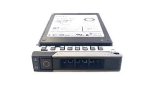 Dell 3.84TB 2.5" SAS 12G TLC RI SSD WUSTR1538ASS200 TT26V +14/15th Gen Caddy - Afbeelding 1 van 1