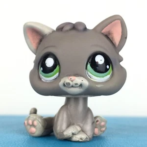 Authentic Littlest Pet Shop 1607 Cat Baby Kitten Kitty / Chat Chaton LPS Petshop - Imagen 1 de 3