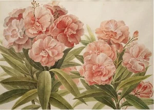 Posh Chalk A3 11.7" x 16.5" Rice Decoupage Papers All Styles - You Choose - Picture 1 of 44