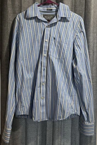 Abercrombie & Fitch Shirt Mens L Blue Striped Button Down Long Sleeve Moose - Picture 1 of 9
