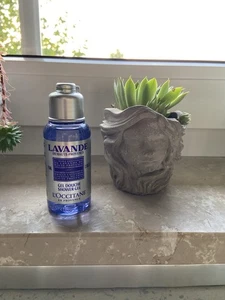 L‘Occitane Lavande Duschgel Shower Gel 75 ml Lavendel Douche En Provence - NEU - Bild 1 von 4
