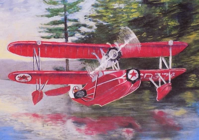 Wings Of Texaco #8 The Duck 1936 Keystone-Loening Commuter Coin Bank NOS - Image 1 of 4