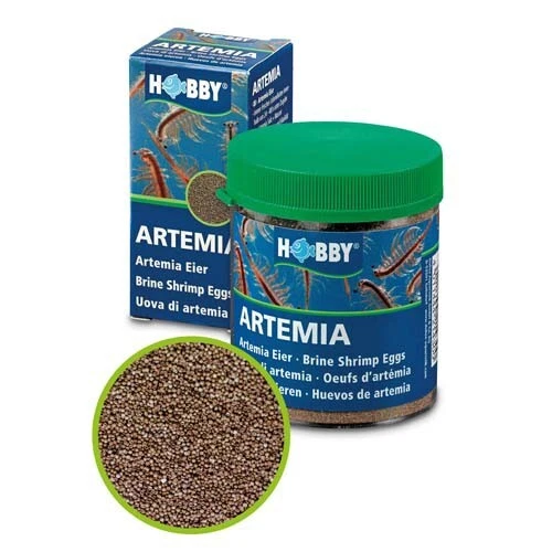 Artemia-Eier 20 ml - Hobby - Bild 1 von 1