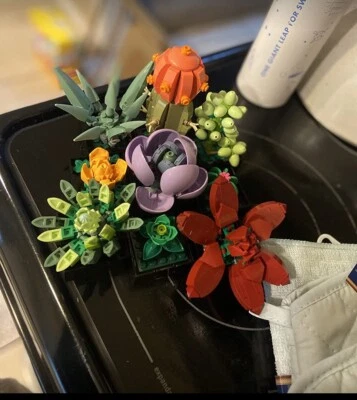 乐高图标 多肉:艺术家居装饰和植物礼品套装 — 第 1/4 张图片