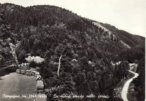 2800 CAMPIGNA LA NUOVA STRADA NELLA FORESTA - Picture 1 of 1