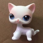 #64 Rare Littlest Pet Shop Pink White Short Hair Cat Kitty Blue Eyes LPS