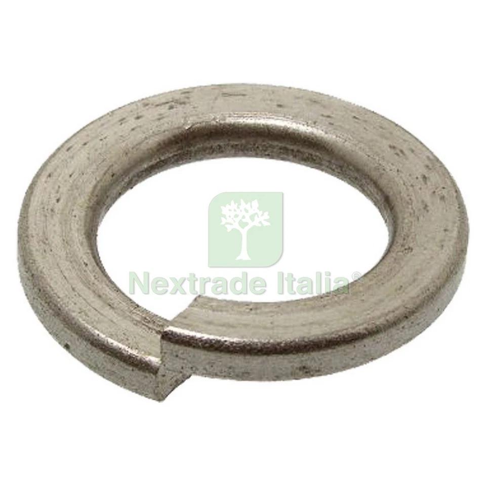 1000PZ RONDELLA ELASTICA GROWER M 10: - Immagine 1 di 1