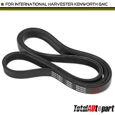 重型蛇形皮带适用于国际收割机 Kenworth GMC 42.55 英寸 — 第 1/4 张图片