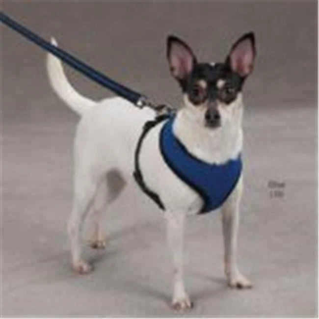 Сетчатый ремень Casual Canine ZA888 24 17 XLG черный - Изображение 1 из 1