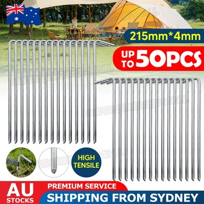 UPTO 50X Tent Pegs Steel Ground Camping Stakes Outdoor Nail 4mm Heavy Duty New - image 1 of 4